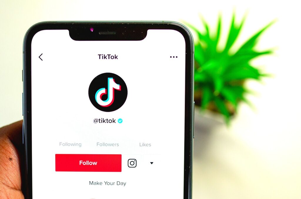 TikTok Ads